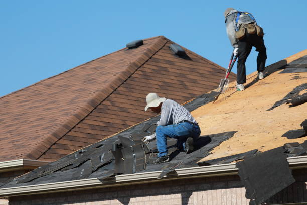 Best Chimney Flashing Repair  in Point Pleasant, WV