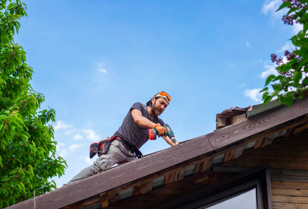 Best Emergency Roof Repair Services  in Point Pleasant, WV