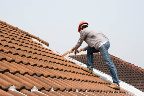Best Metal Roofing Installation  in Point Pleasant, WV