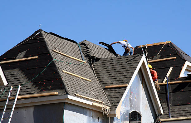 Best Roof Leak Repair  in Point Pleasant, WV